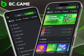 BC.Game پاکستان آن لائن گیمز کا بہترین تجربہ BC.Game پاکستان آن لائن گیمز کا بہترین تجربہ